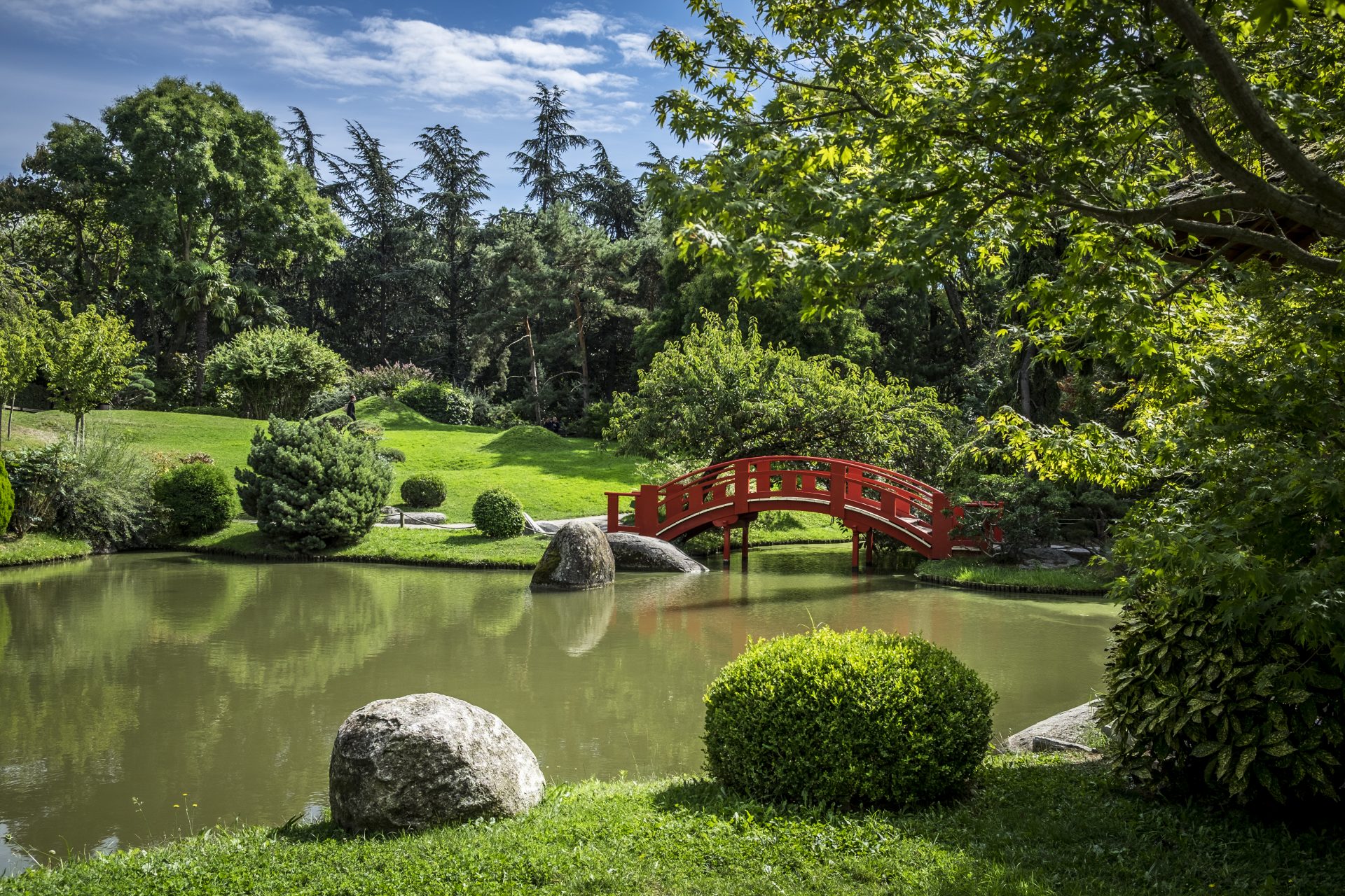 etang japonais