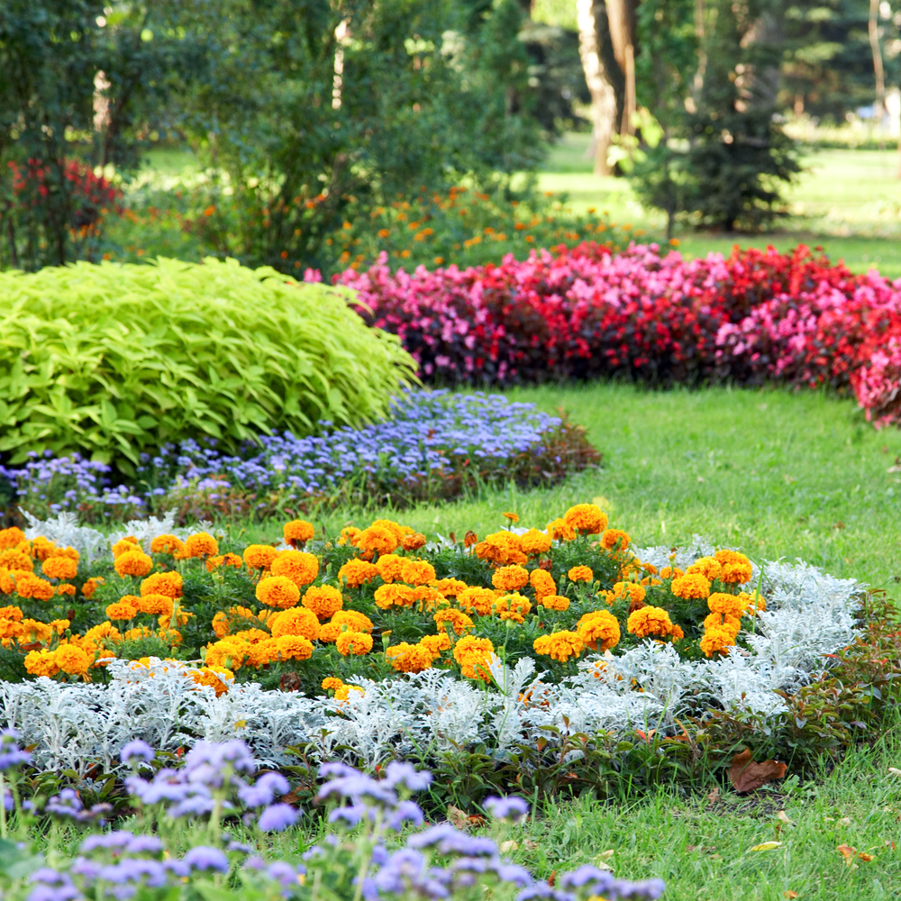 parterre-entretien